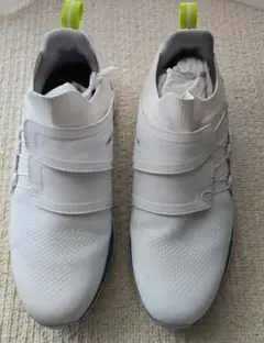 美品】FootJoyゴルフシューズメンズ 25cmWide - メルカリ