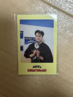 StrayKids スキズ　シーグリ　2023 特典　バンチャン