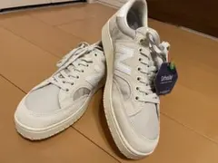 Item thumbnail for item 2895e4fc-7f91-44c2-9330-2e3e96eb1b67