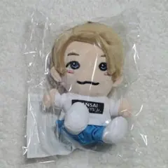 Aぇ! group ちびぬい 第1弾 ペンラ うちわ 2026年最新】aぇ !group ちびぬいの人気アイテム - メルカリ
