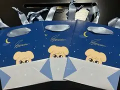 SKZOO ペーパーバック GIGO限定 パピーム