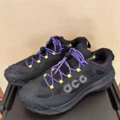 2026年最新】acg mountain fly 2 lowの人気アイテム - メルカリ