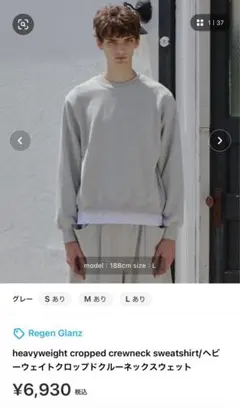 最終値下げRegen Glanzヘビーウェイトクルーネックスウェット