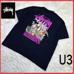 送料無料！ ステューシー バックロゴ レアカラー クルーネック 半袖 Tシャツ