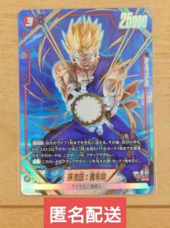 ドラゴンボールフュージョンワールド 孫悟飯:青年期 FB08-012 SRパラ