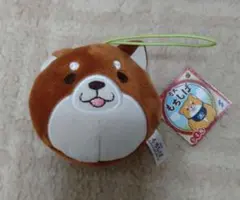 Item thumbnail for item 59754749-a83d-47b3-9da1-0a35606d906f