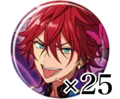 あんスタ コレクション缶バッジ Apr idol 天城燐音 25個セット