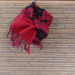 Item thumbnail for item f06cfc37-15e1-455c-9a12-ba1a2b779f6a