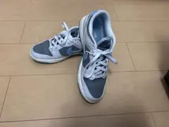 NIKE Dunk Low Retro HF5441-001 26cm