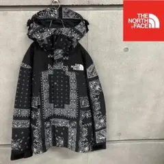 新品　ノースフェイスGORE-TEX ブラックペイズリー柄　メンズM