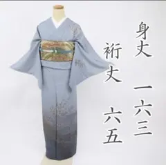 訪問着〈中国汕頭刺繍〉❣️ゆったりサイズ 仕立上り❣️趣味の着物 