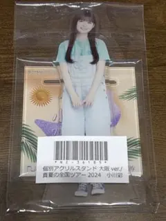 個別全身アクリルキーホルダー 真夏の全国ツアー2025 小川彩 - メルカリ