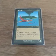 2026年最新】極楽鳥 mtgの人気アイテム - メルカリ
