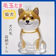 Item thumbnail for item b0705660-bfd0-44d6-a09e-48fbd764ff1c