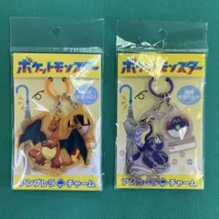 ポケモン アンブレラチャーム リザードン ミライドン 2点セット めじるしのサムネイル