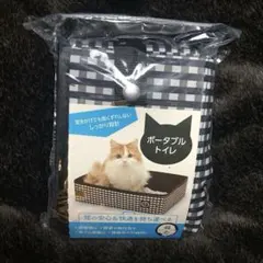 Item thumbnail for item 29aefe1b-0960-45c1-bb76-5b46c51c125c