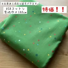 《USAコットン》グリーン地×小さなドット カラフル 水玉