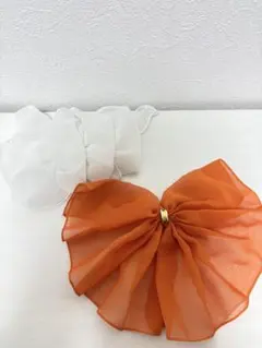 バレッタ2点セット