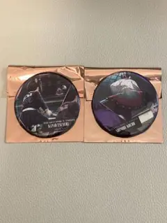 鬼滅の刃　劇場版　ものがたる背中　缶バッジ　カナヲ　しのぶ　２個セット