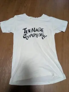 goa ゴア t-shirt long sleeve Tシャツ 00's y2k - メルカリ