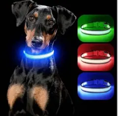 Item thumbnail for item 346ddcd9-c415-4b30-ad8f-d3ea97ea7cda