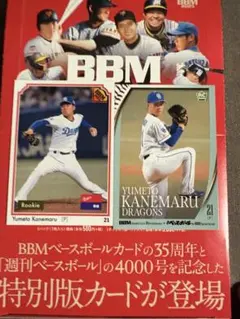 Item thumbnail for item 627d5af7-593d-4cb7-b7dd-42482c1c3ca1