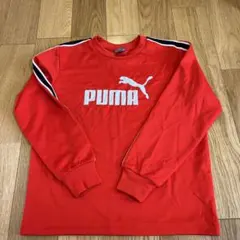 PUMA  スポーツウェア　140センチ