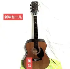 2026年最新】lake guitarの人気アイテム - メルカリ