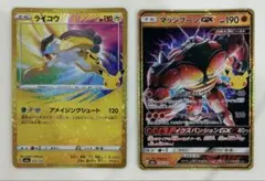 ライコウ マッシブーンGX ポケモンカード 金枠