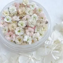 Bambi♡R様 リクエスト 5点 まとめ商品