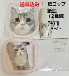 もちまる日記×DAISO「レジャー４点セット ※出品者セレクト」