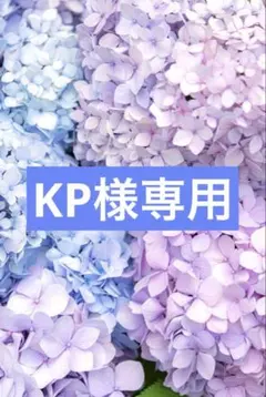 KP様 リクエスト 16点 まとめ商品のサムネイル