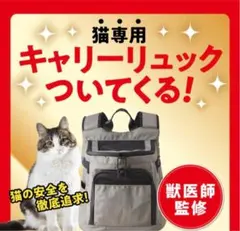 【新品・未使用】ねこのきもち付録 キャリーリュックのサムネイル