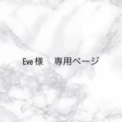 専用ページ