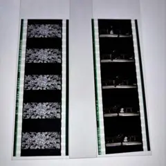 劇場版 魔法少女まどか☆マギカ 入場者特典 35mmコマフィルム　シスター
