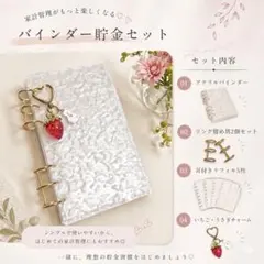 ♡生活の家計管理におすすめ♡リフィル5枚 いちご バインダー貯金 韓国