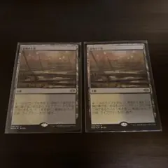 2026年最新】湿地の干潟/marsh flatsの人気アイテム - メルカリ