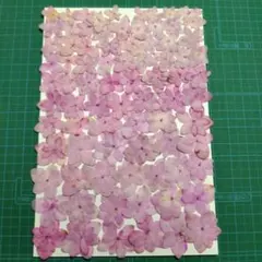 ★hana様 リクエスト 3点 まとめ商品