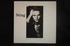 スティング「ナッシング・ライク・ザ・サン」輸入盤　2枚組アナログレコード
