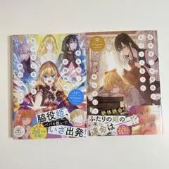 ある日、お姫様になってしまった件について　11巻12巻　⑨セット出品ラスト
