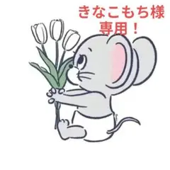 ✢きなこもち様専用！