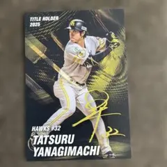 2026年最新】プロ野球チップス 1997の人気アイテム - メルカリ