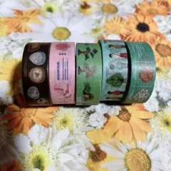 ③未使用マスキングテープまとめ売り、5本