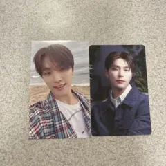 ディノ 消費期限 2枚セット 会場限定 封入