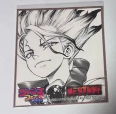 Dr.STONE ジャンプフェア 2021 inアニメイト ミニ色紙 石神千空