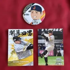 山川穂高　プロ野球チップス　缶バッチ