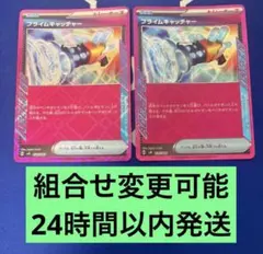 【組合せ変更可能】プライムキャッチャー2枚セット