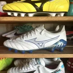 Item thumbnail for item 0d69da7a-71fb-41f5-8cfe-bd2acbb9115c