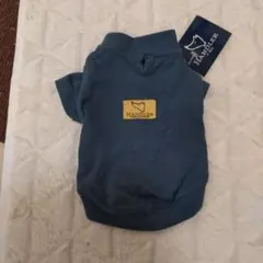 Item thumbnail for item 773cae64-3982-417d-96e3-6d320964c261