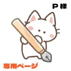 P様 リクエスト 3点 まとめ商品